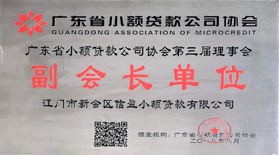 廣東省小額貸款公司協(xié)會副會長單位
