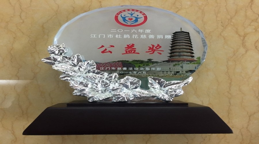 江門市杜鵑花慈善捐贈公益獎
